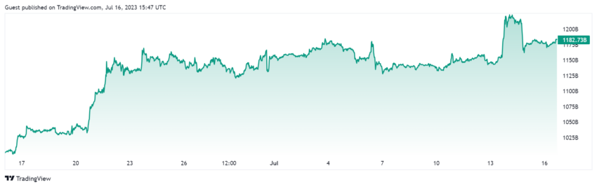 Market Capitalization Of Crypto Traders